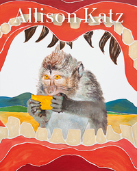 Image de Allison Katz