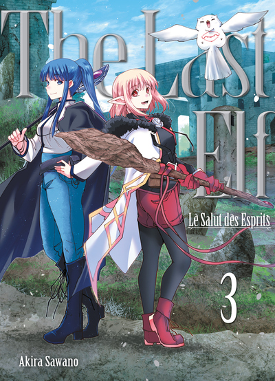 Image de The Last Elf, le salut des esprits T03