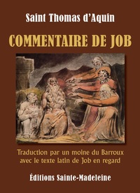 Picture of Commentaire de Job