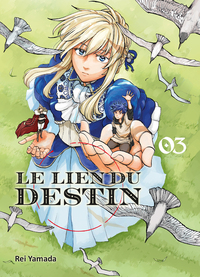 Image de Le lien du destin T03 - FIN