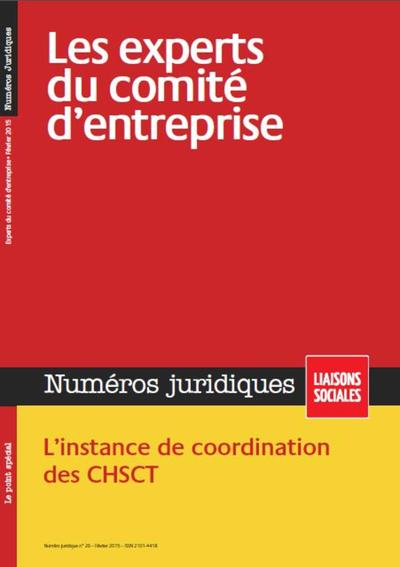 Image de LES EXPERTS DU COMITE D ENTREPRISE