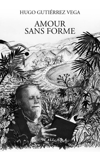 Picture of Amour sans forme