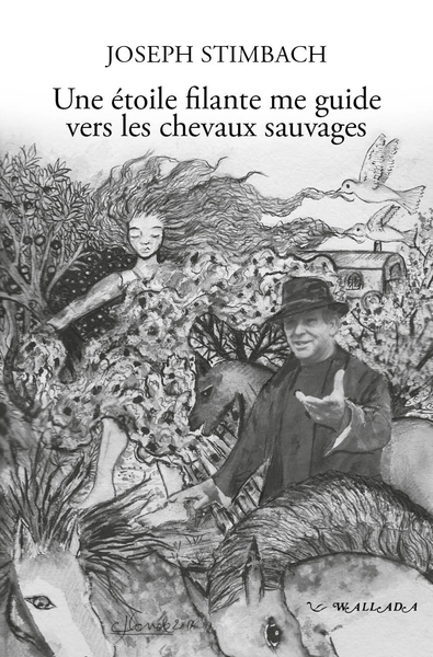 Picture of Une étoile filante me guide vers les chevaux sauvages