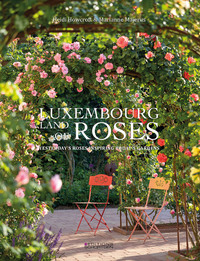 Picture of Luxembourg - Land of Roses