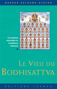 Image de Le Voeu Du Bodhisattva