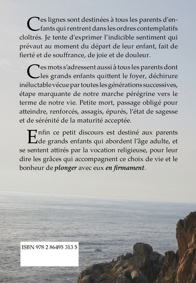 Picture of Plongeur en firmament