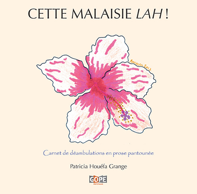 Image de Cette Malaisie lah !
