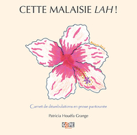 Image de Cette Malaisie lah !