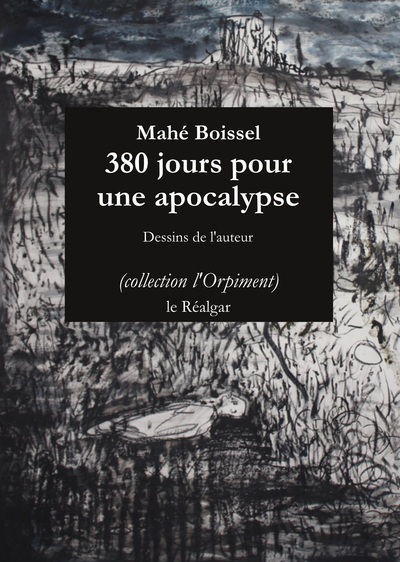 Picture of 380 Jours Pour Une Apocalypse