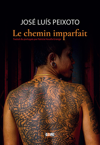 Image de Le chemin imparfait