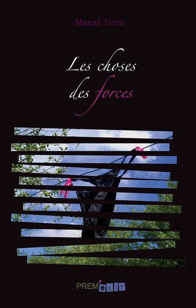 Picture of Les choses des forces