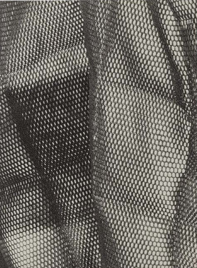 Image de A bird in the hand