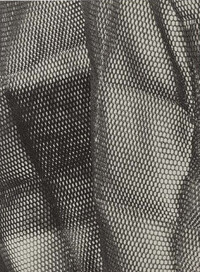 Image de A bird in the hand