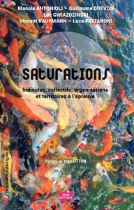 Picture of SATURATIONS - Individus, collectifs, organisations et territoires à l'épreuve