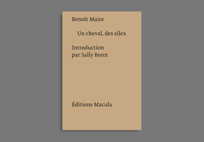 Image de Un cheval, des silex