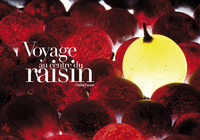 Image de voyage au centre du raisin