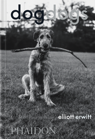 Image de DogDogs