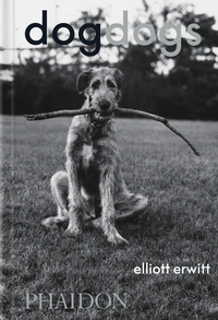 Image de DogDogs