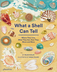 Image de WHAT A SHELL CAN TELL