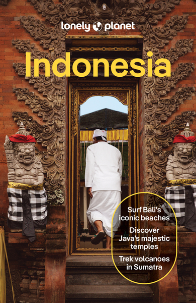 Picture of Indonesia 15ed -anglais-