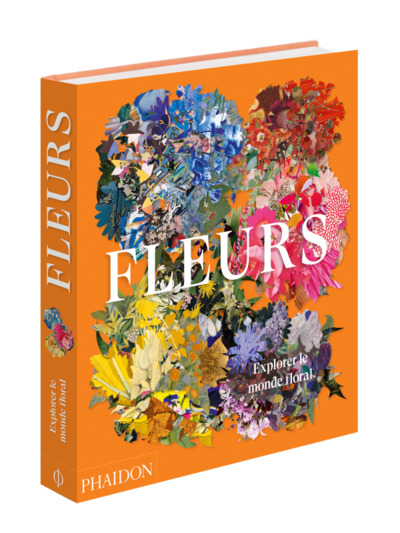 Image de Fleurs