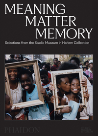 Picture of Meaning Matter Memory