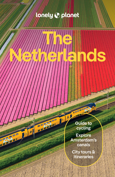Picture of The Netherlands 10ed -anglais-