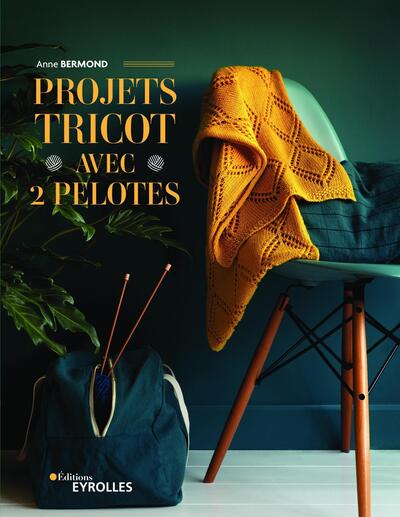 Picture of Projets tricot avec 2 pelotes