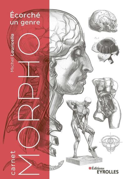 Picture of Carnet Morpho : Ecorché un genre
