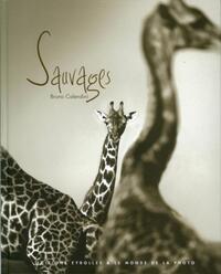 Picture of Sauvages