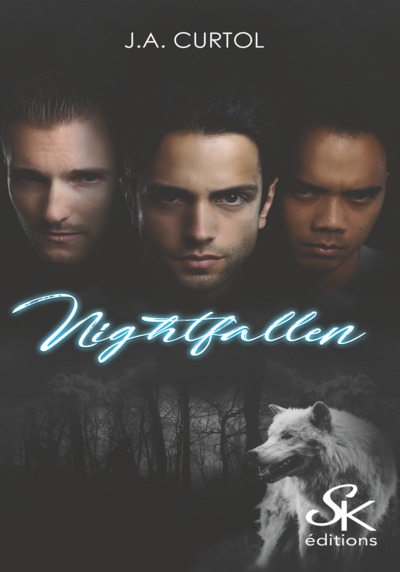 Picture of Nightfallen