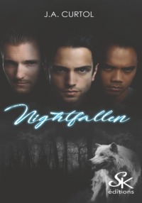 Picture of Nightfallen