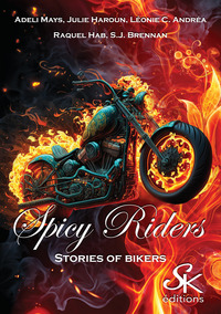 Image de Spicy riders, stories of bikers