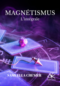 Picture of Magnetismus l'intégrale