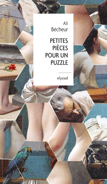 Image de Petites pièces pour un puzzle