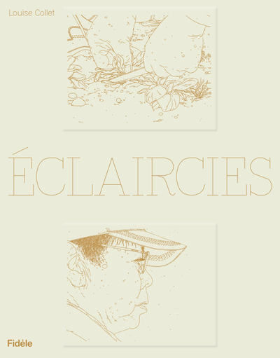 Image de Des Éclaircies