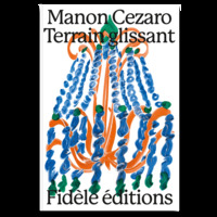 Picture of Terrain glissant