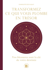 Picture of Transformez ce qui vous plombe en trésor