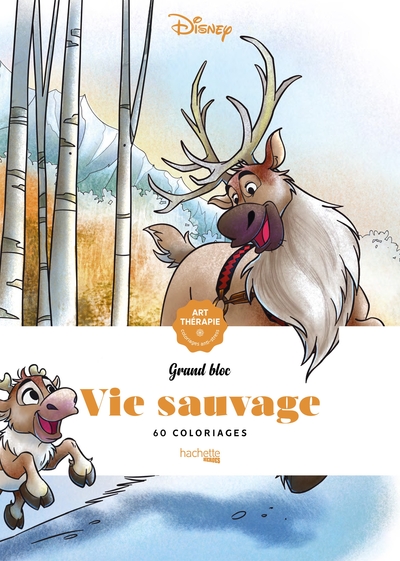 Image de Grand bloc Disney Vie sauvage