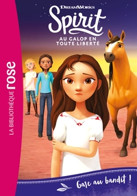 Image de Spirit 17 - Gare au bandit !