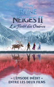 Image de La Reine des Neiges 2 - La forêt des ombres - L'épisode inédit entre les deux films