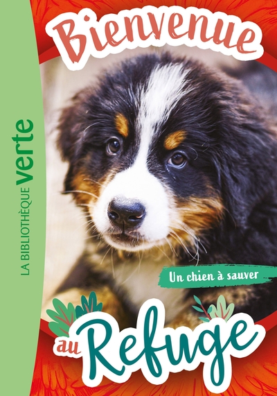 Picture of Bienvenue au refuge 02 - Un chien à sauver