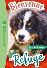 Picture of Bienvenue au refuge 02 - Un chien à sauver