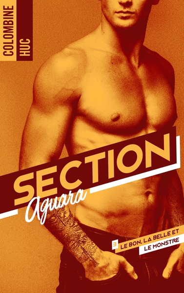 Picture of Section Aguara & Co - Tome 3