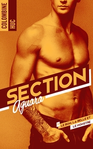 Picture of Section Aguara & Co - Tome 3