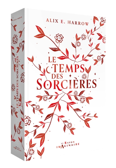Image de Le temps des sorcières