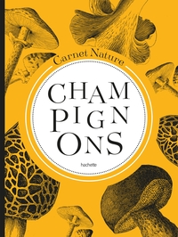 Image de Mon carnet nature : Champignons