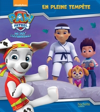 Image de Paw Patrol-La Pat'Patrouille - En pleine tempête