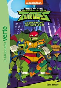 Image de Le destin des Tortues Ninja 03 - Esprit d'équipe