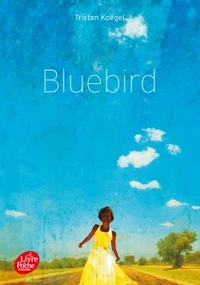 Picture of Bluebird